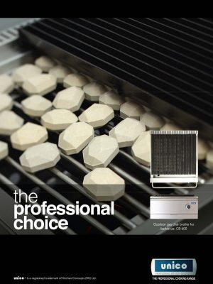 cat-unico-char-boiler-brochure-1-cover